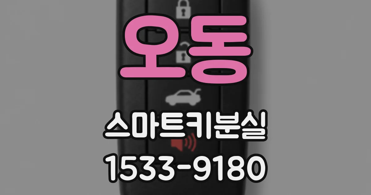 오동 스마트키분실