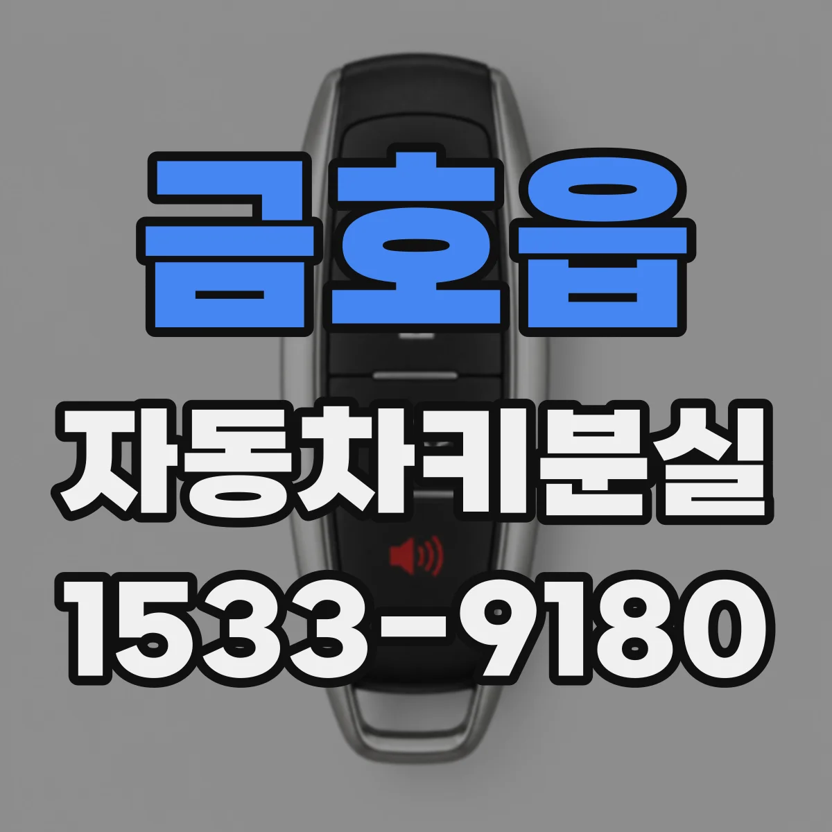 금호읍 자동차키분실