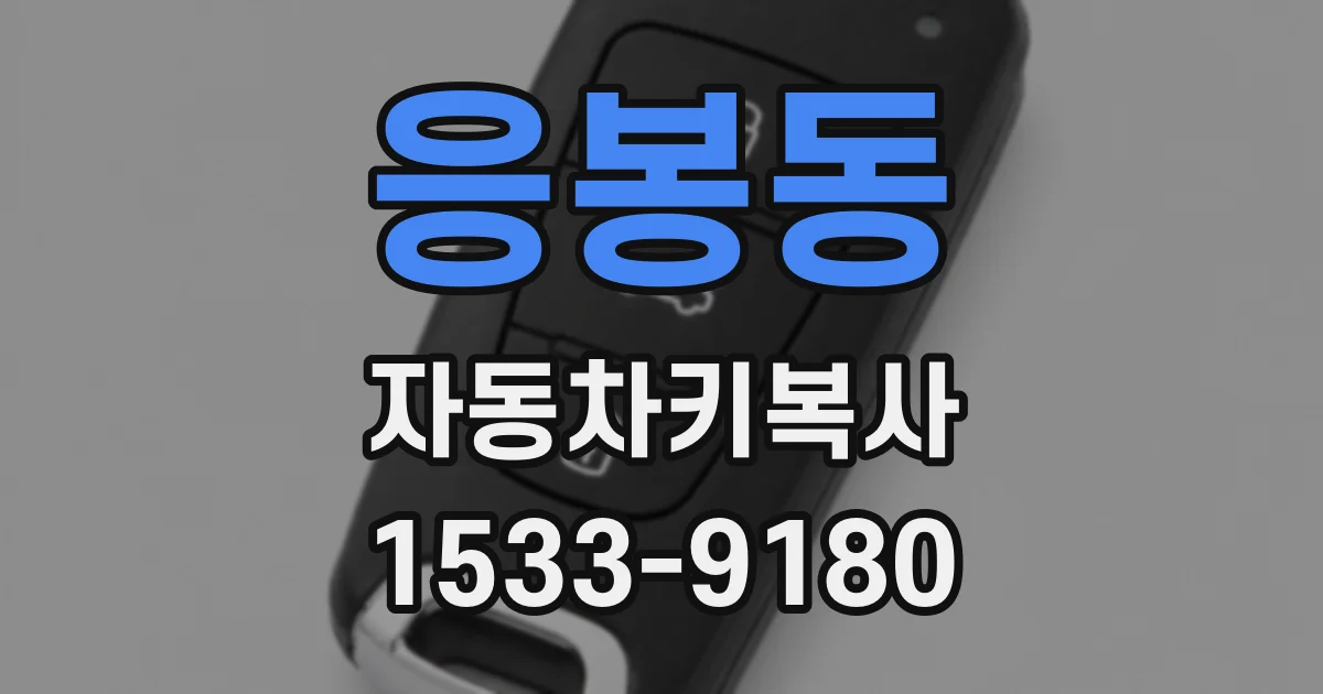 응봉동 자동차키복사