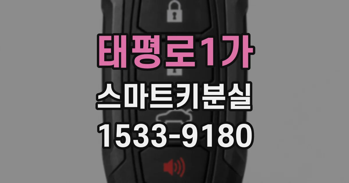태평로1가 스마트키분실