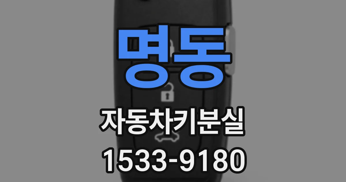 명동 자동차키분실