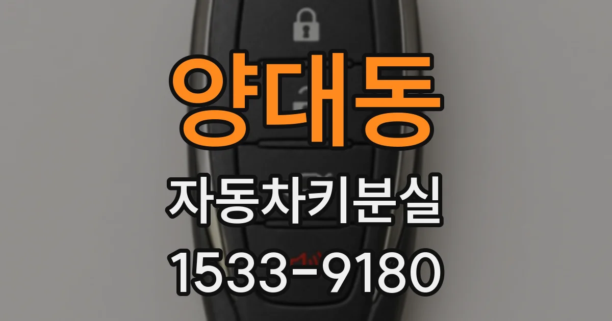 양대동 자동차키분실