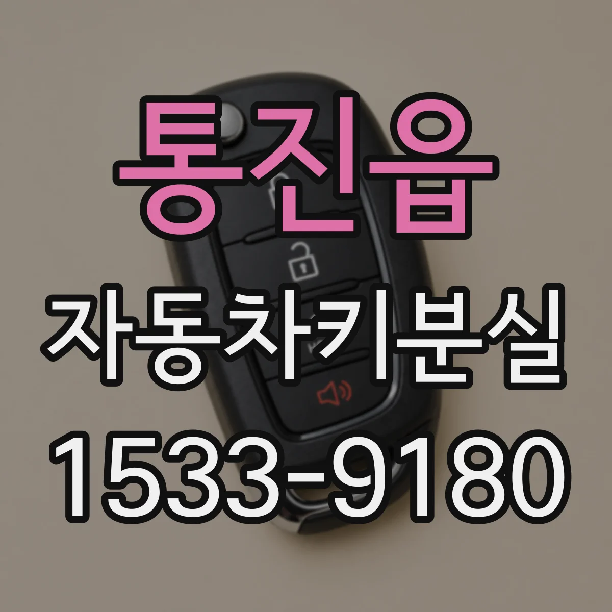 통진읍 자동차키분실