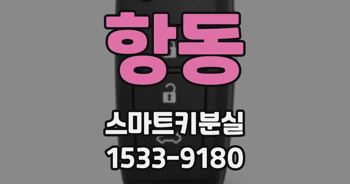 항동 스마트키분실