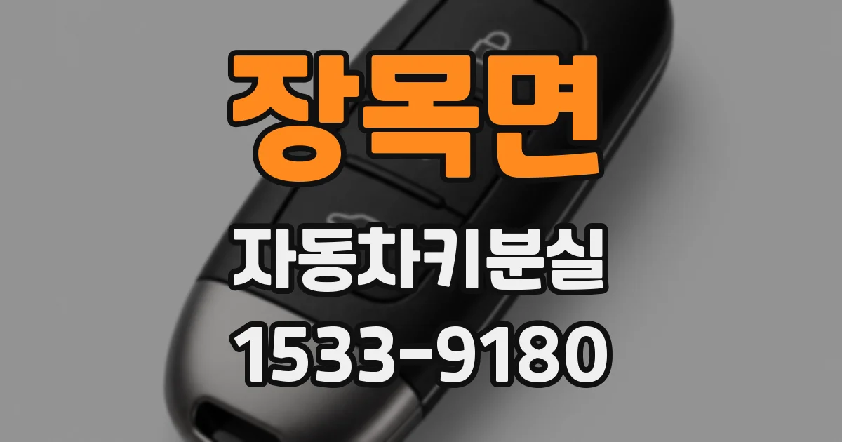 장목면 자동차키분실