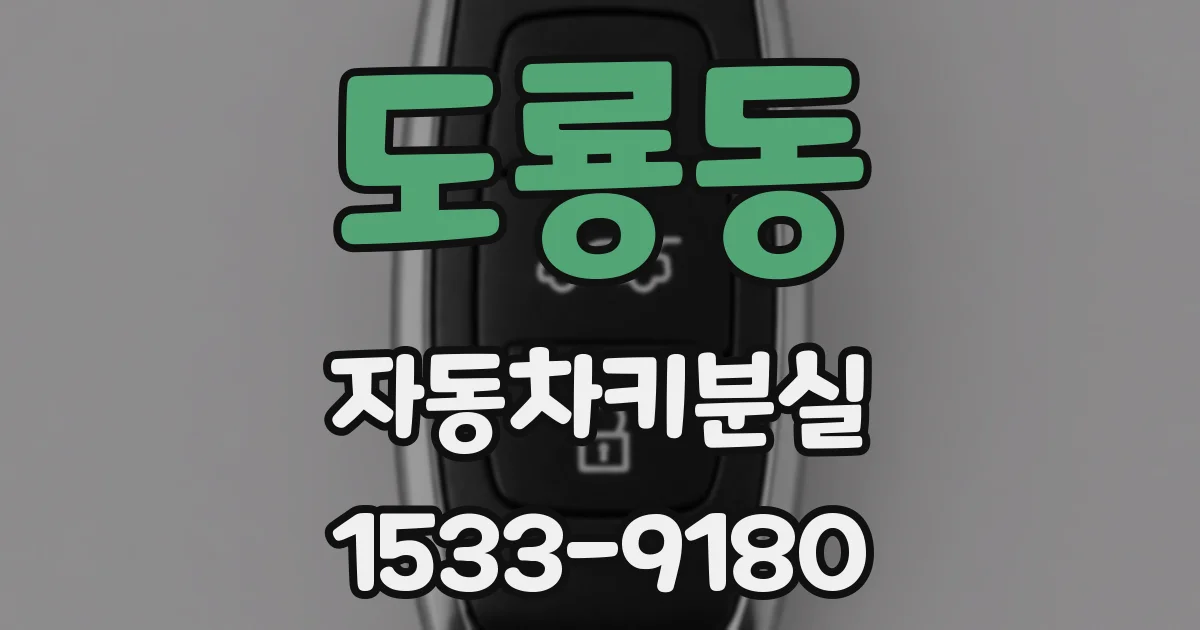 도룡동 자동차키분실