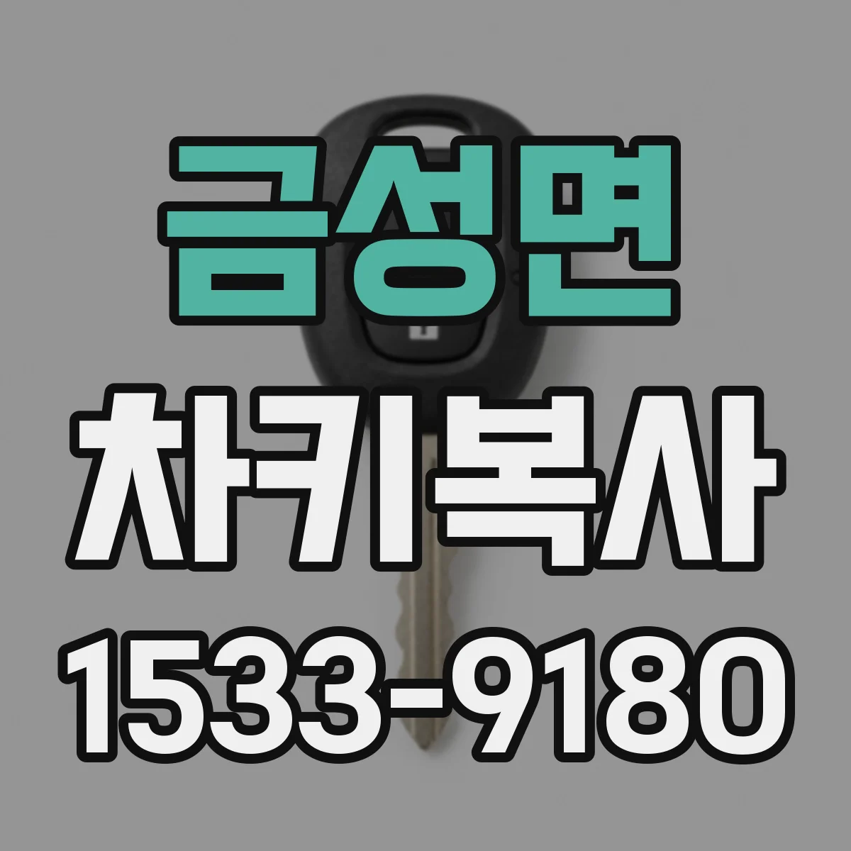 금성면 차키복사