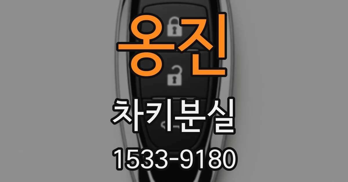 옹진 차키분실