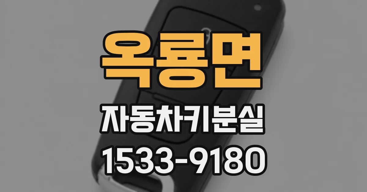 옥룡면 자동차키분실
