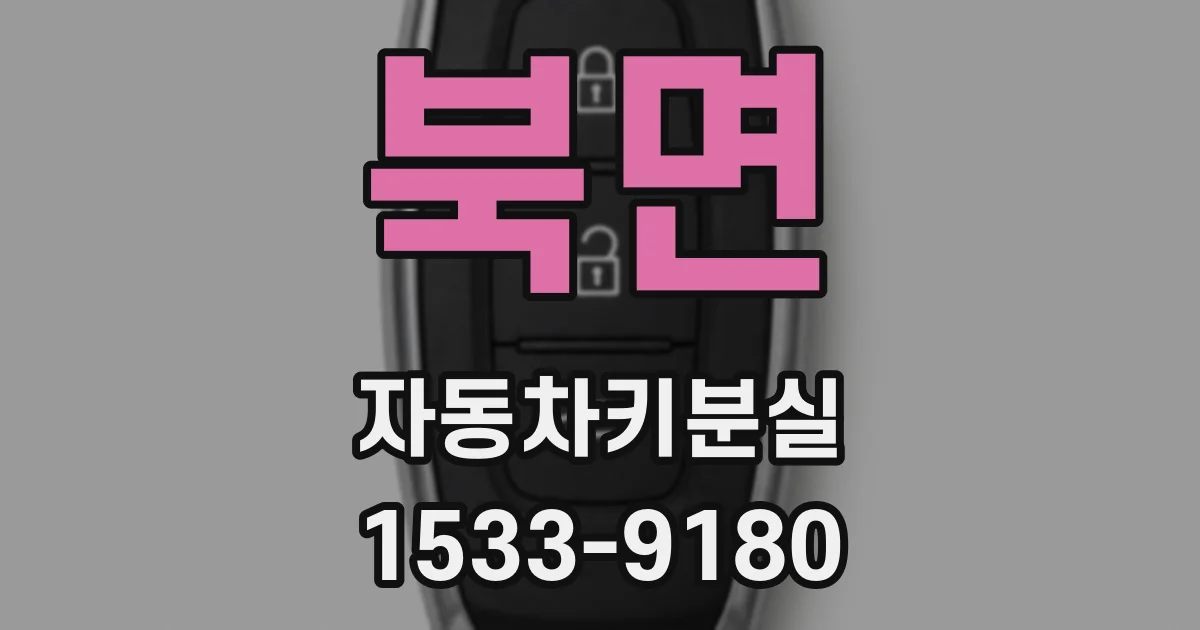북면 자동차키분실