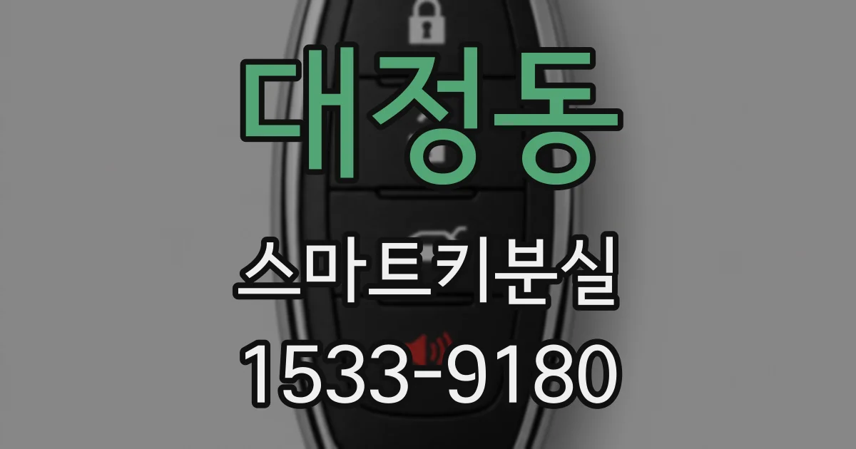 대정동 스마트키분실