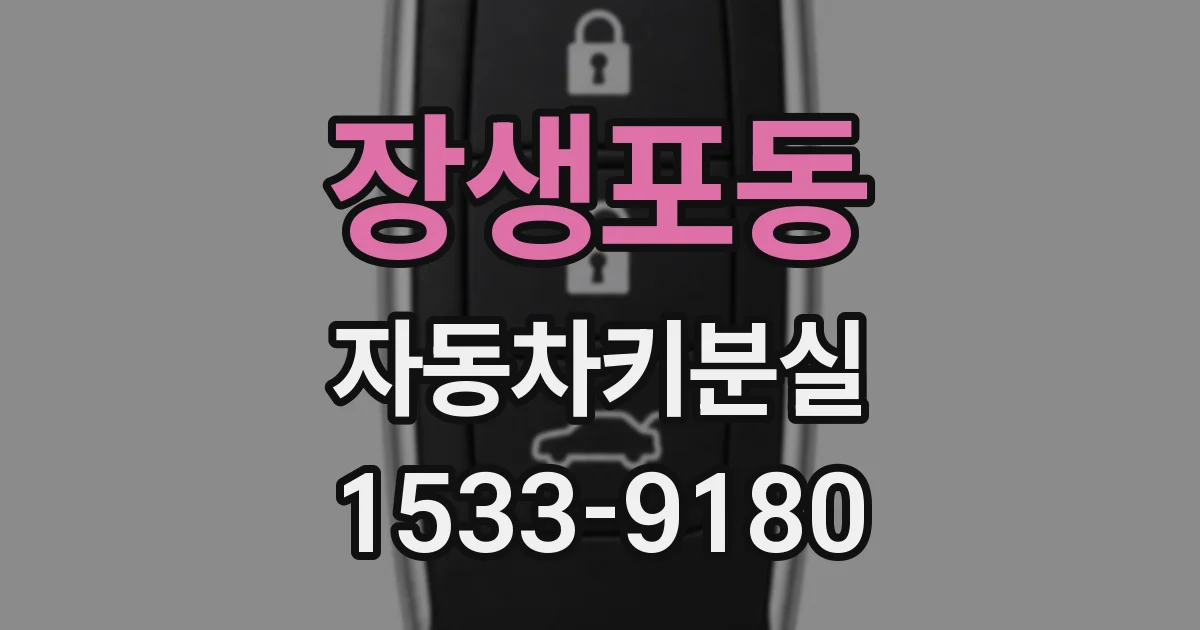 장생포동 자동차키분실