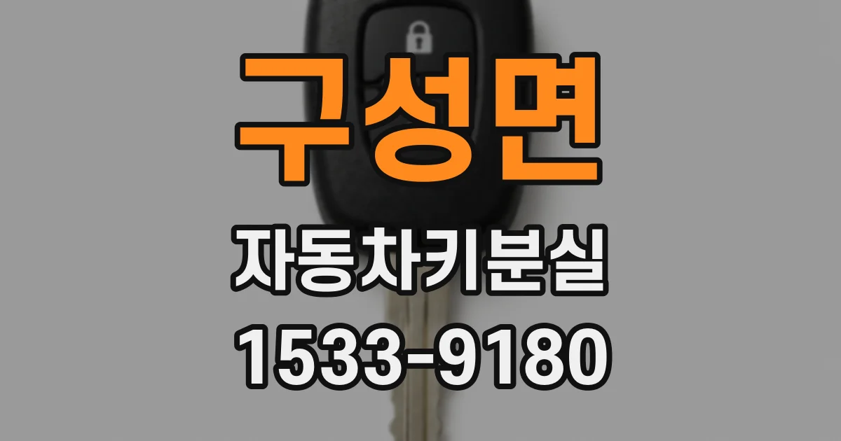 구성면 자동차키분실