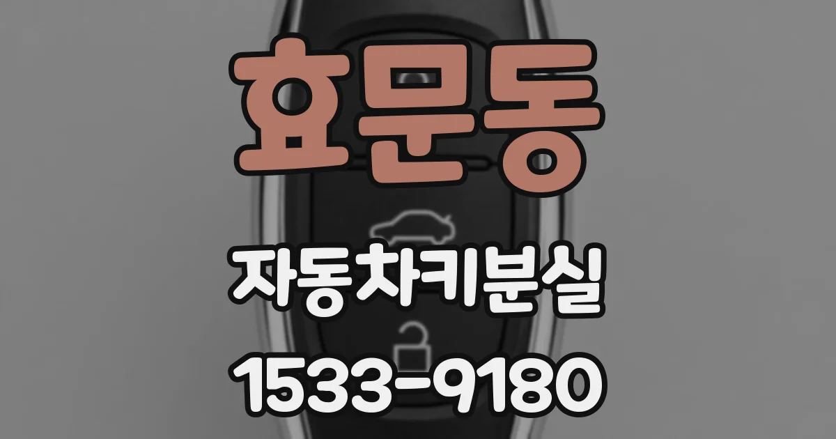 효문동 자동차키분실