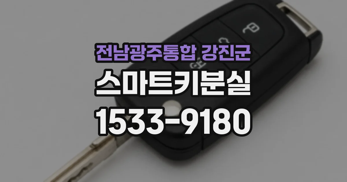 전남광주통합 강진군 스마트키분실
