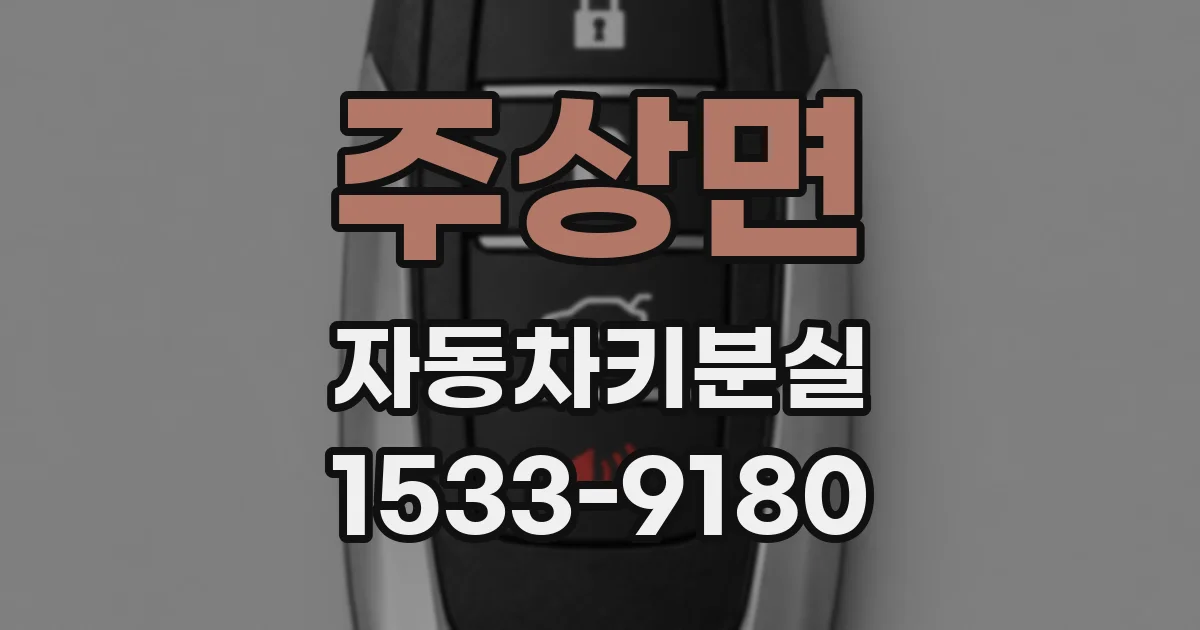 주상면 자동차키분실