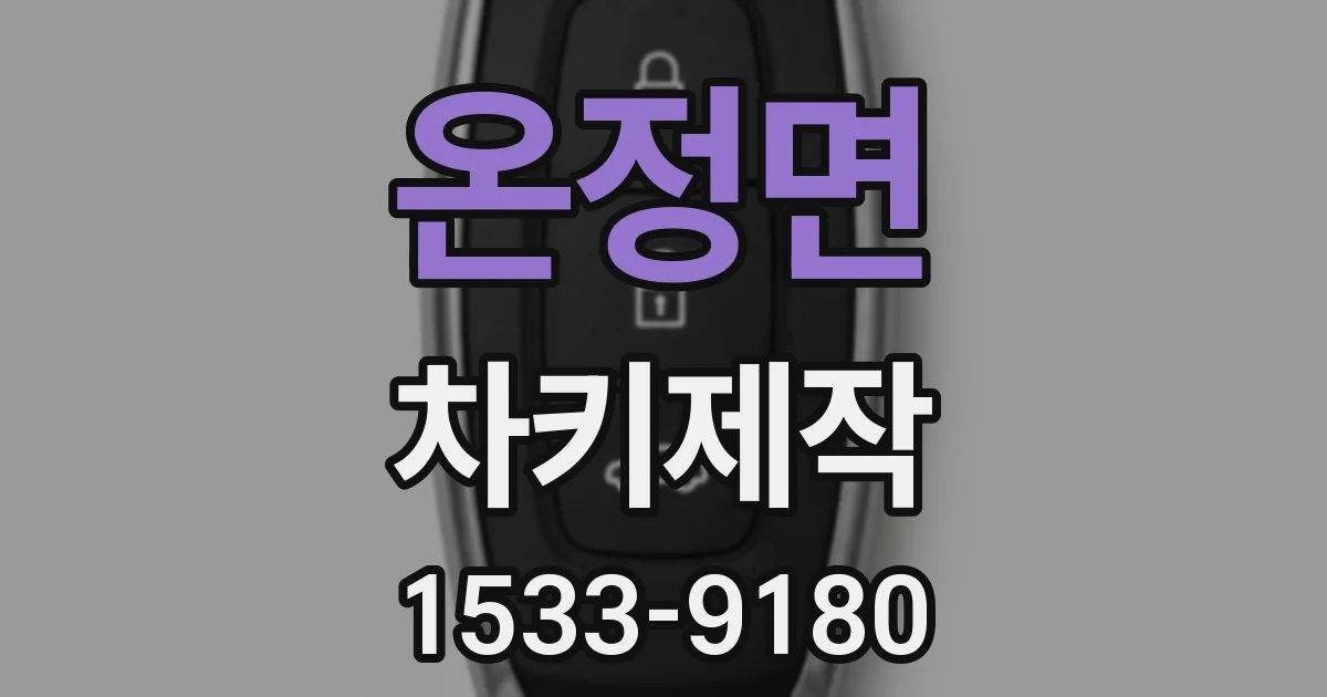 온정면 차키제작