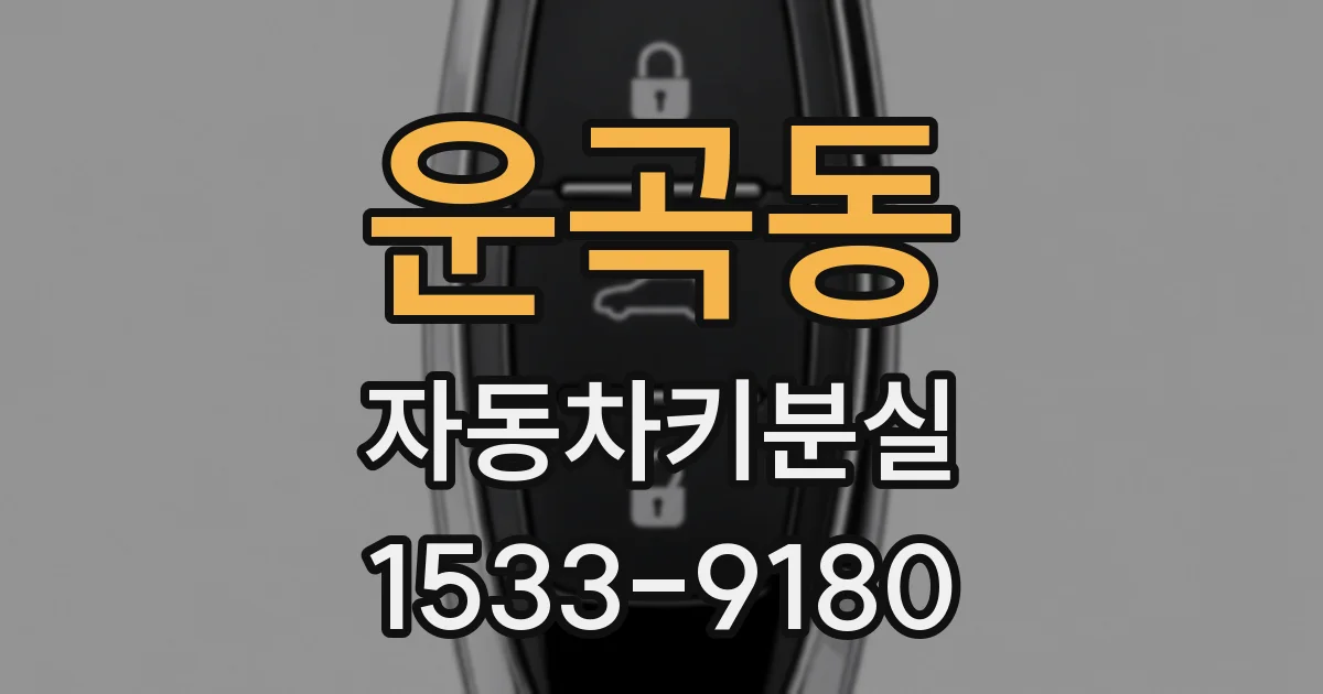 운곡동 자동차키분실