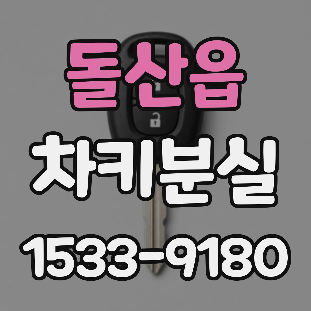 돌산읍 차키분실