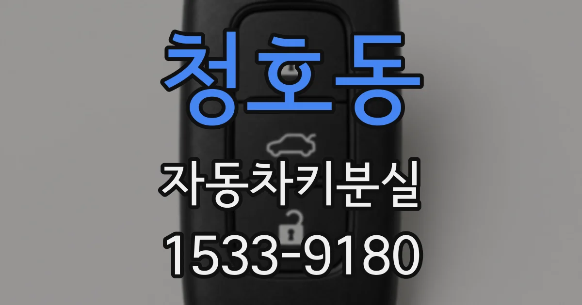 청호동 자동차키분실