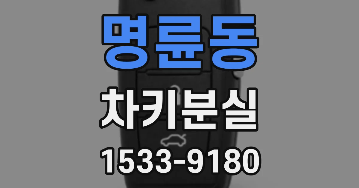 명륜동 차키분실