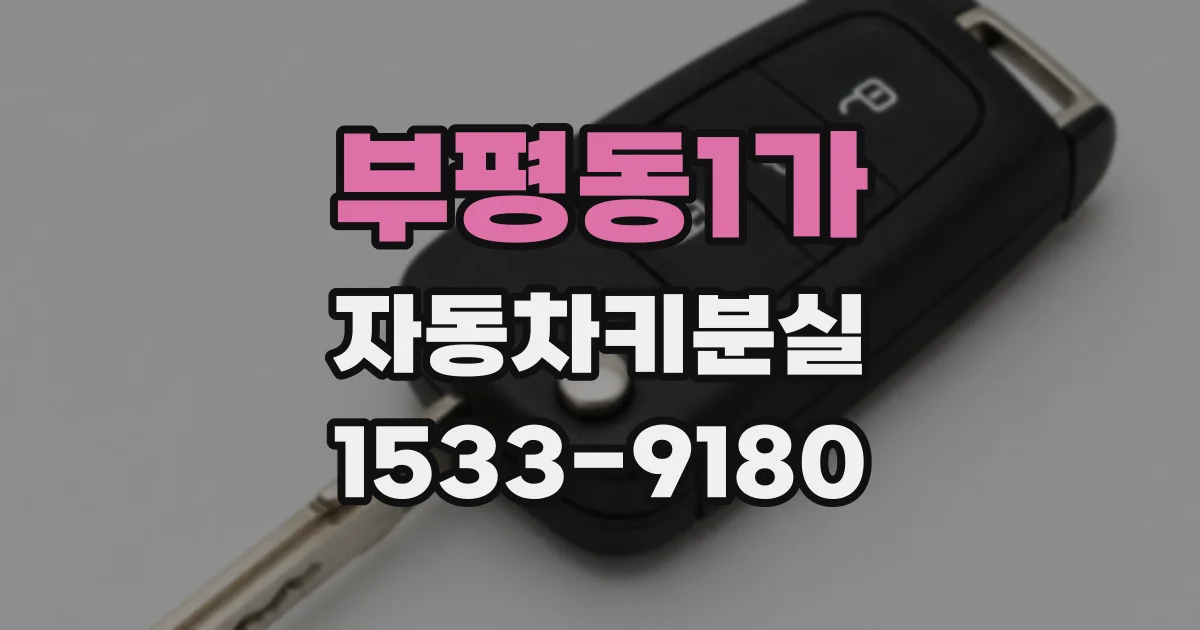 부평동1가 자동차키분실