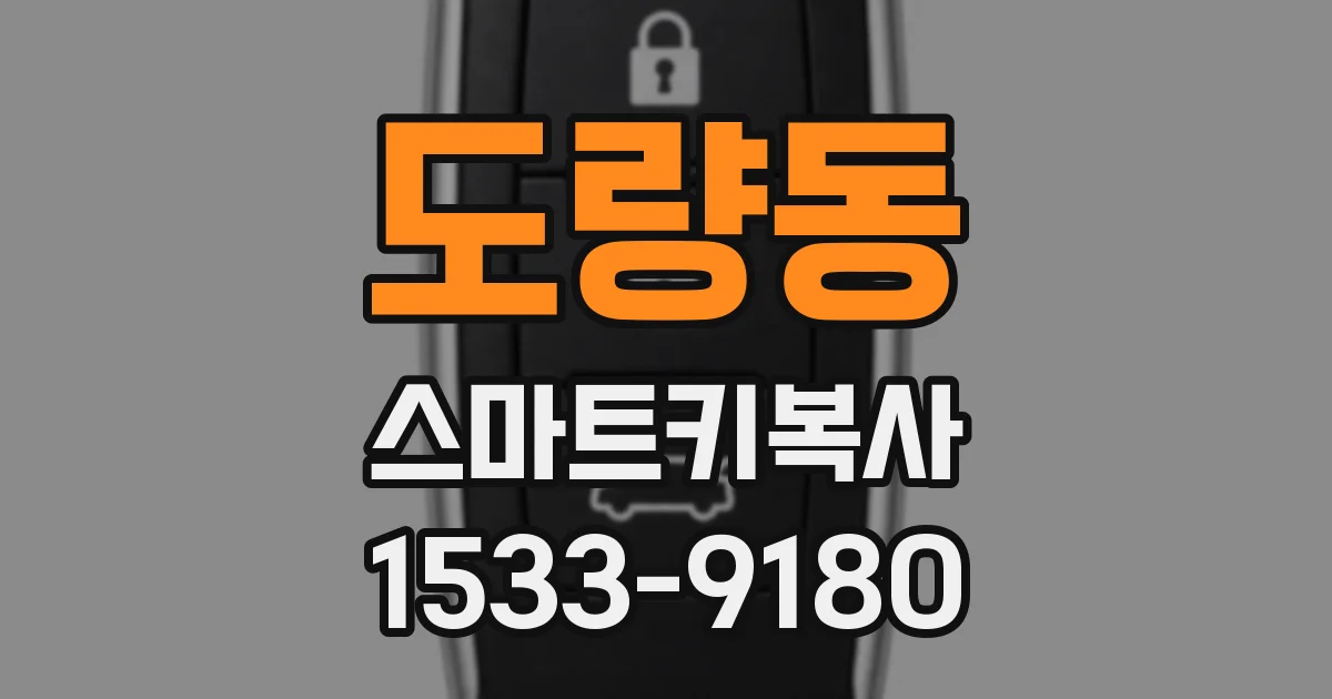 도량동 스마트키복사