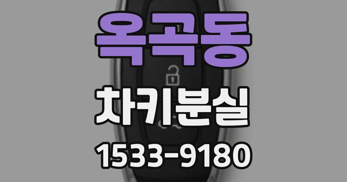 옥곡동 차키분실
