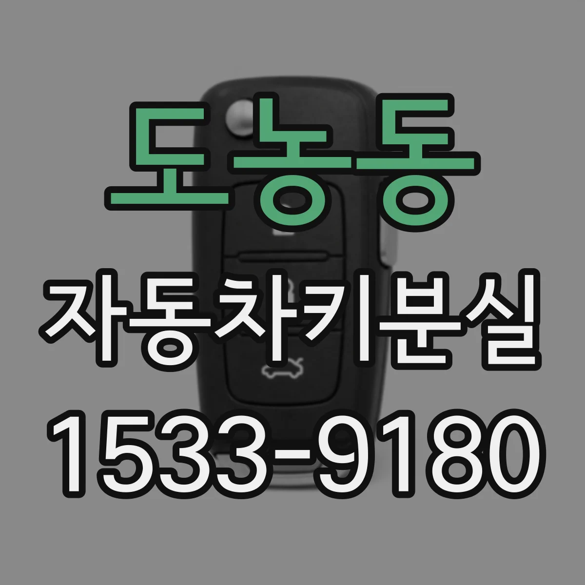 도농동 자동차키분실