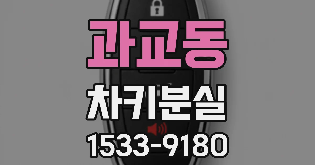 과교동 차키분실