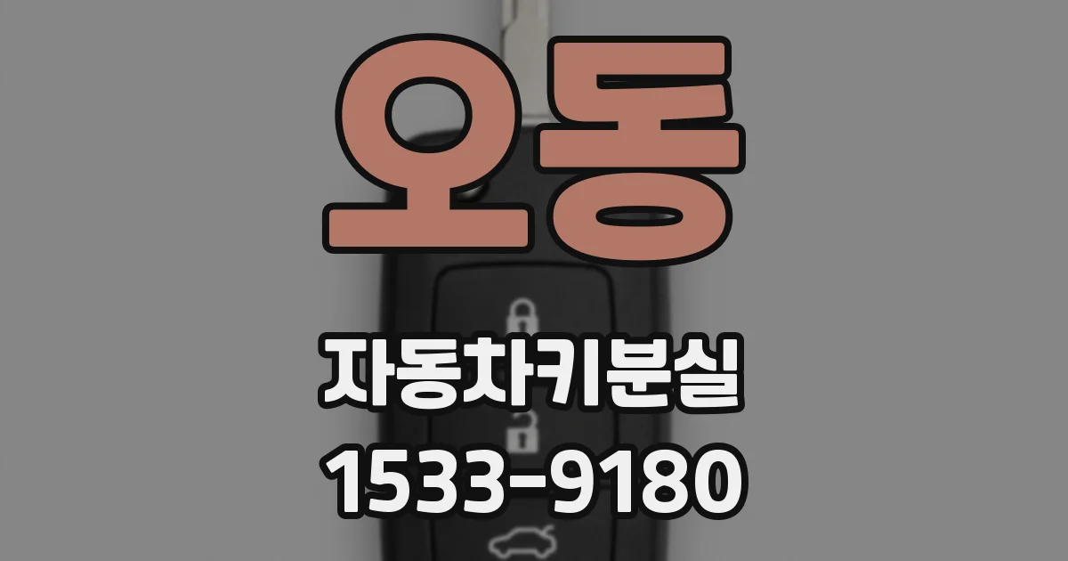 오동 자동차키분실
