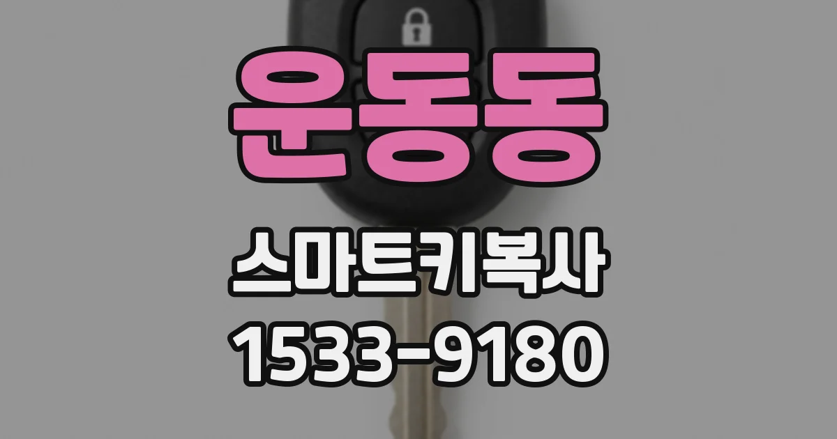 운동동 스마트키복사