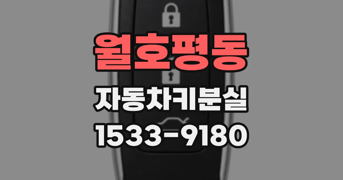 월호평동 자동차키분실