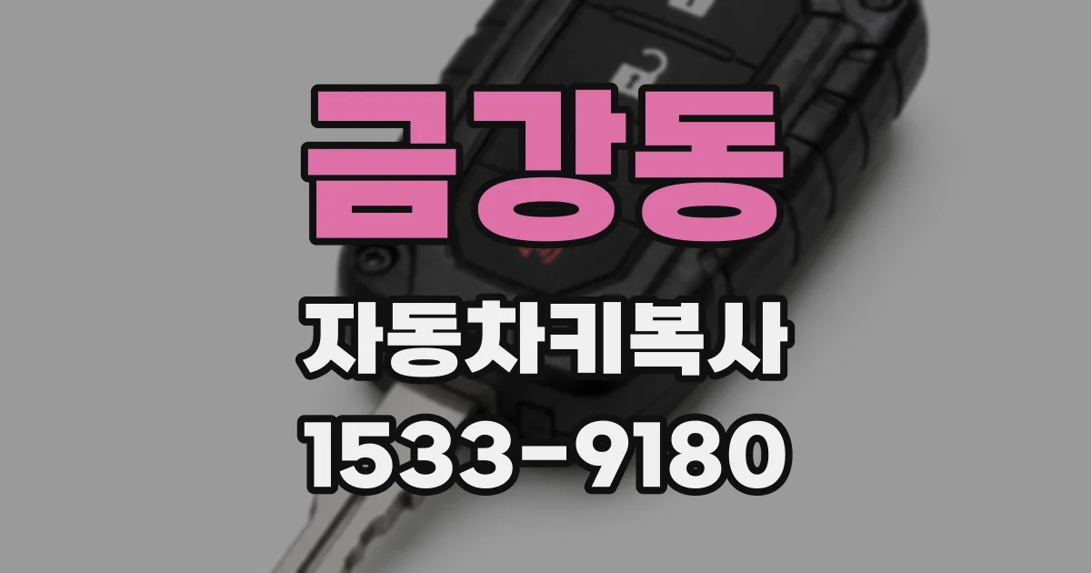 금강동 자동차키복사