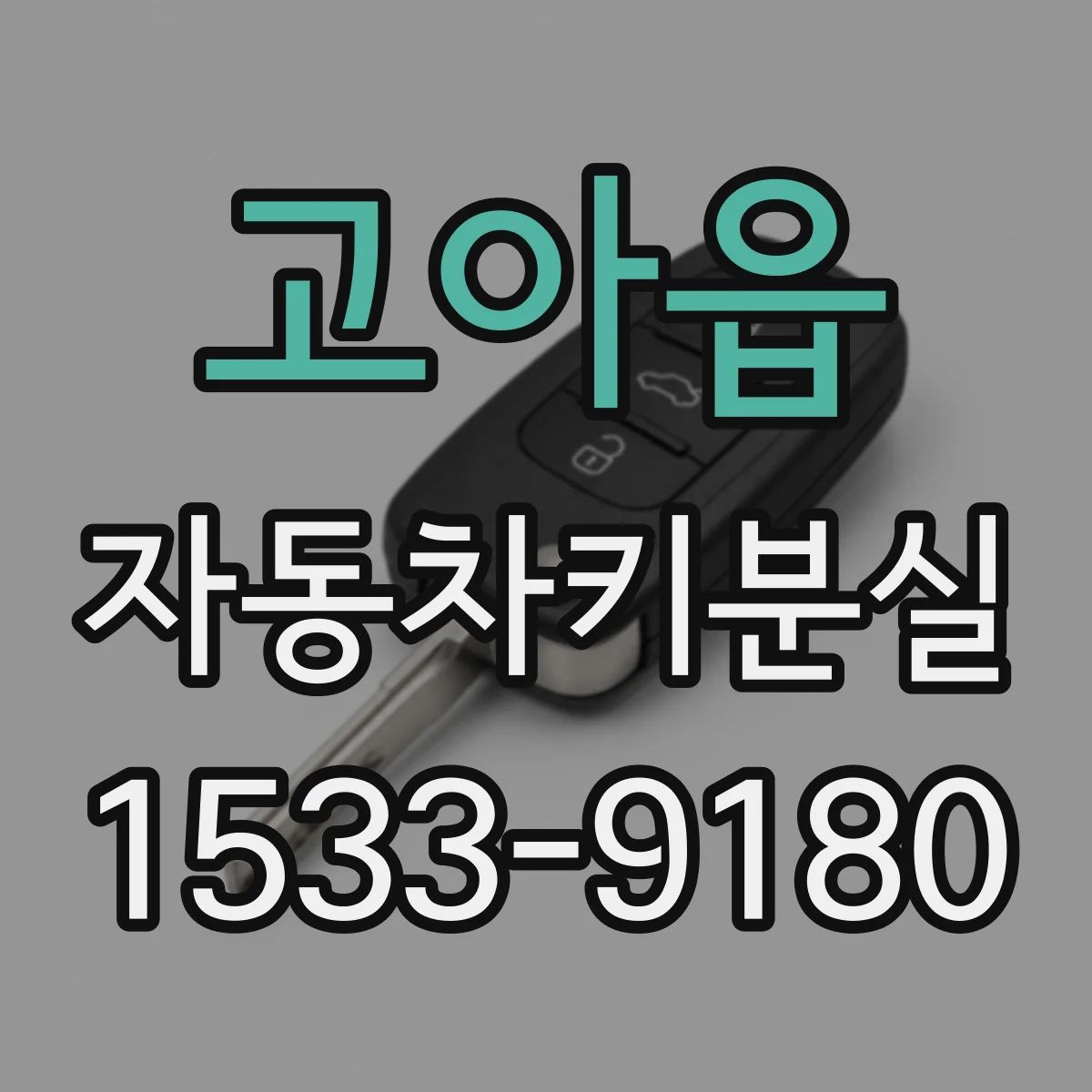 고아읍 자동차키분실