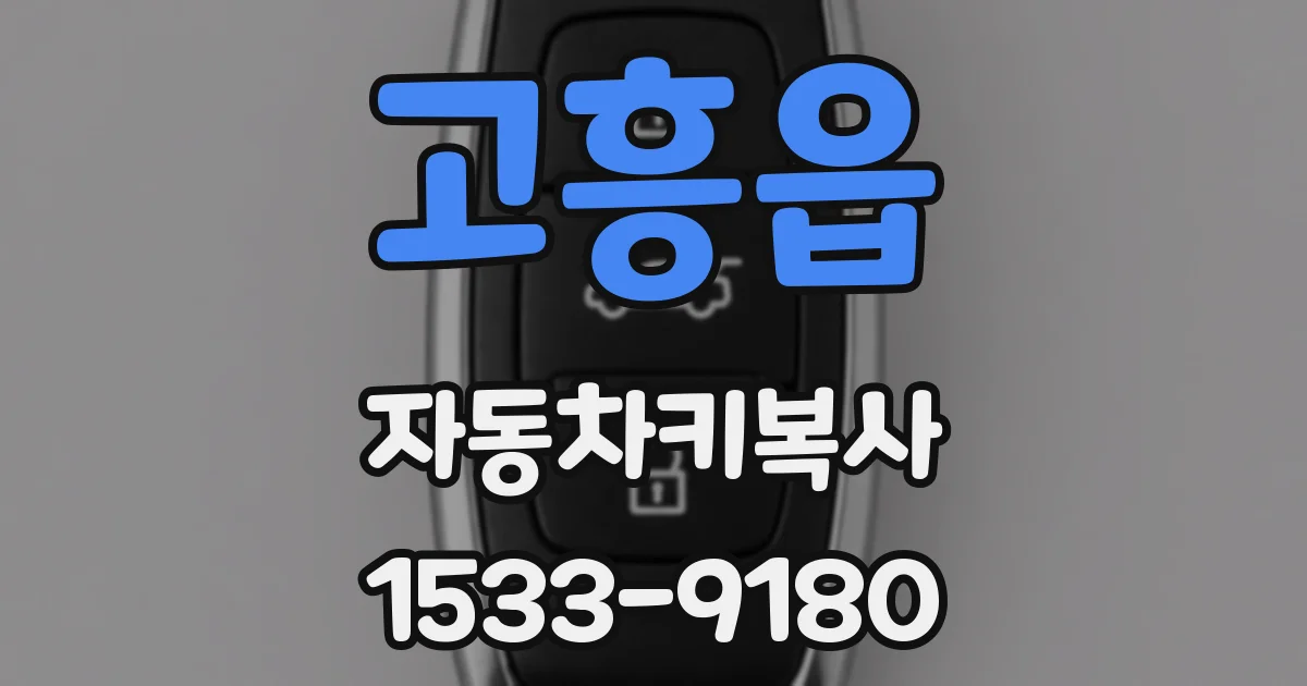 고흥읍 자동차키복사