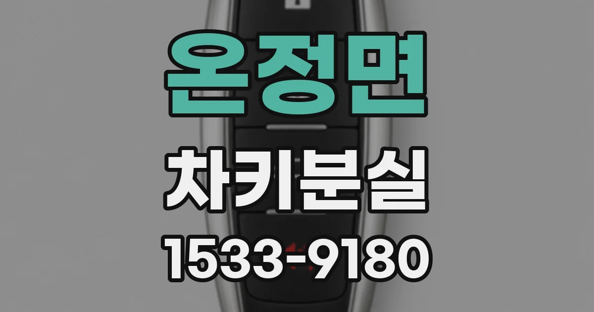 온정면 차키분실