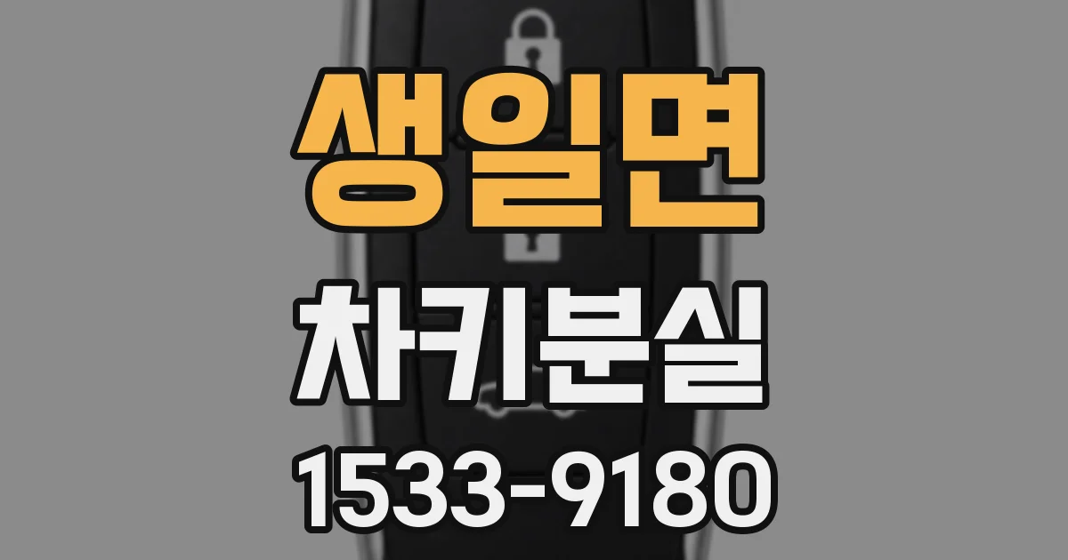 생일면 차키분실