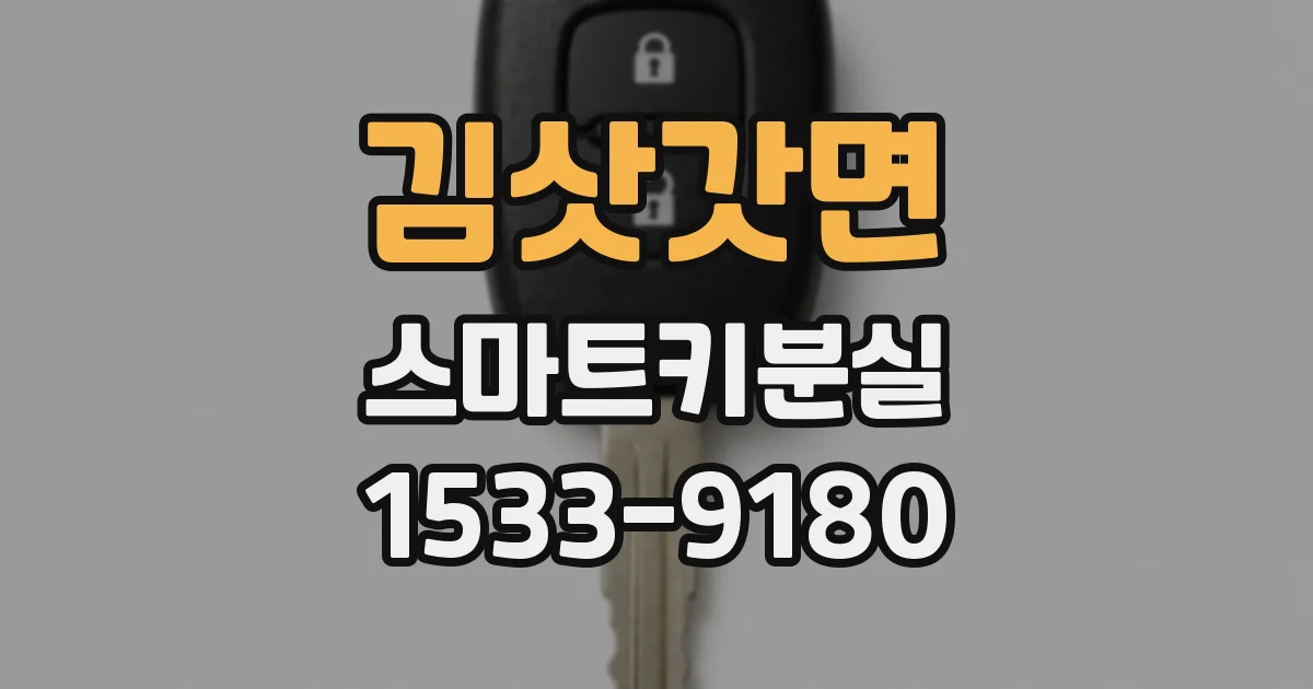 김삿갓면 스마트키분실