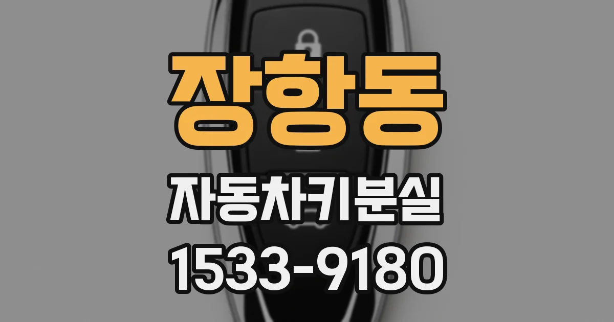 장항동 자동차키분실