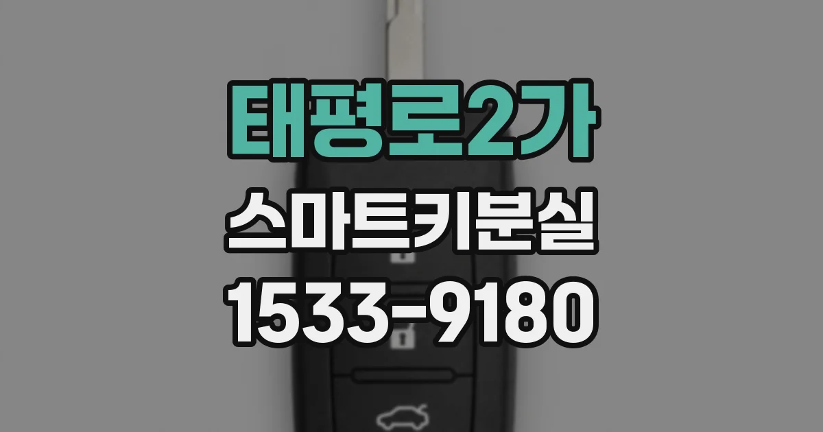 태평로2가 스마트키분실