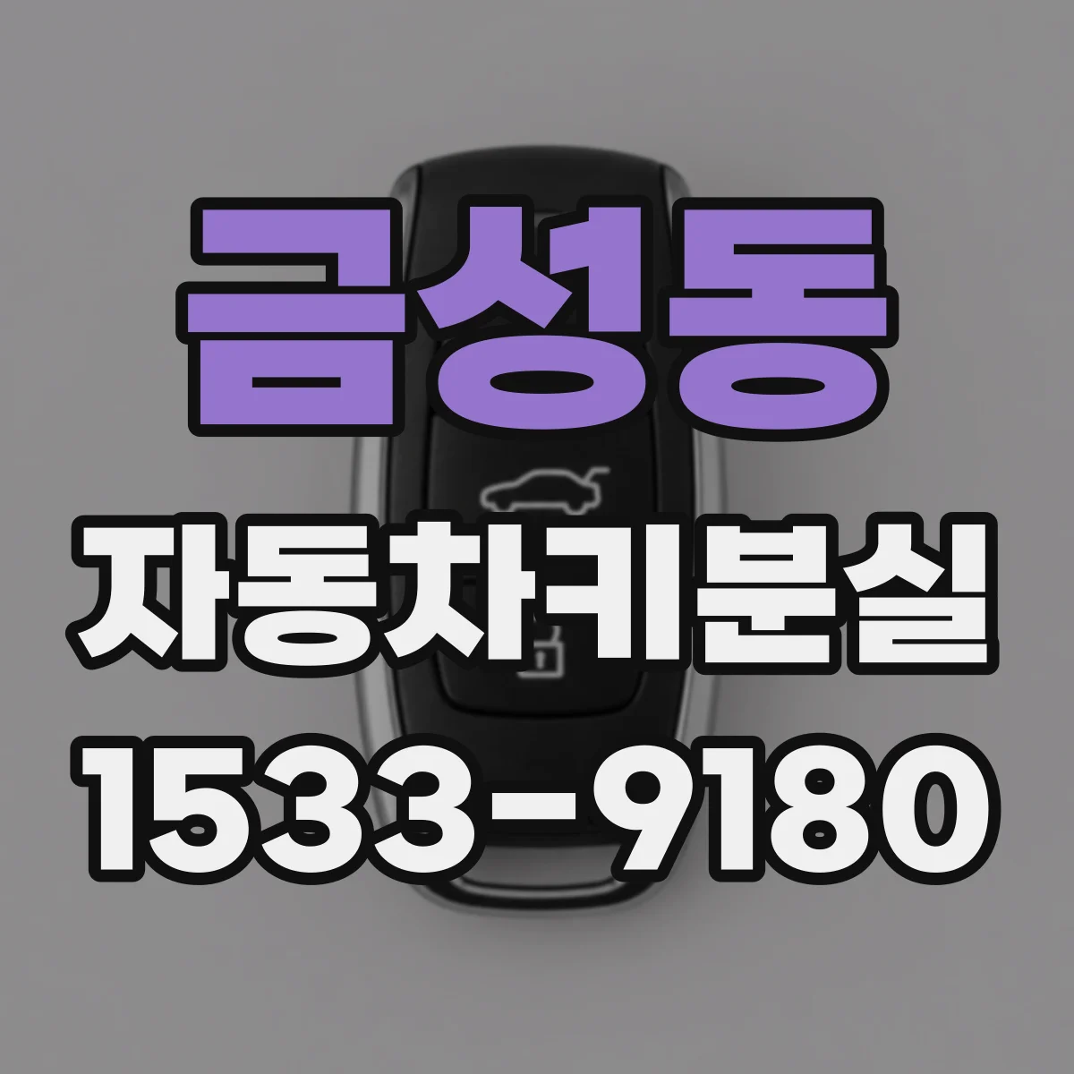 금성동 자동차키분실