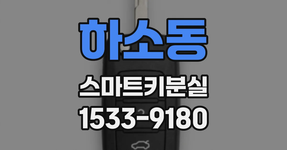 하소동 스마트키분실