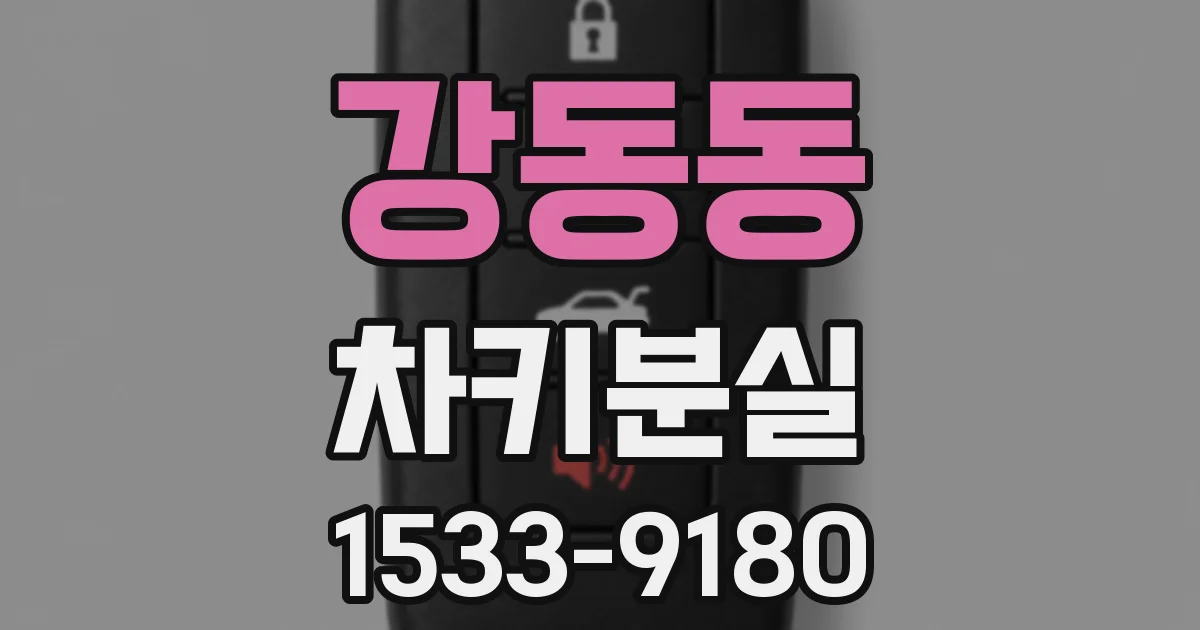 강동동 차키분실