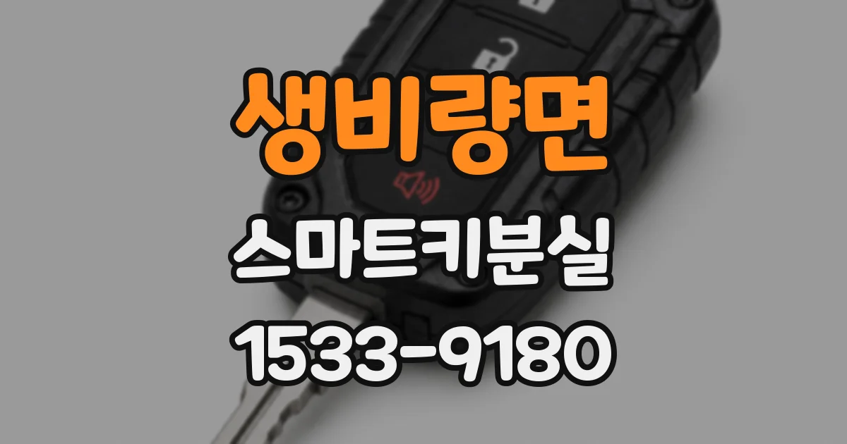 생비량면 스마트키분실