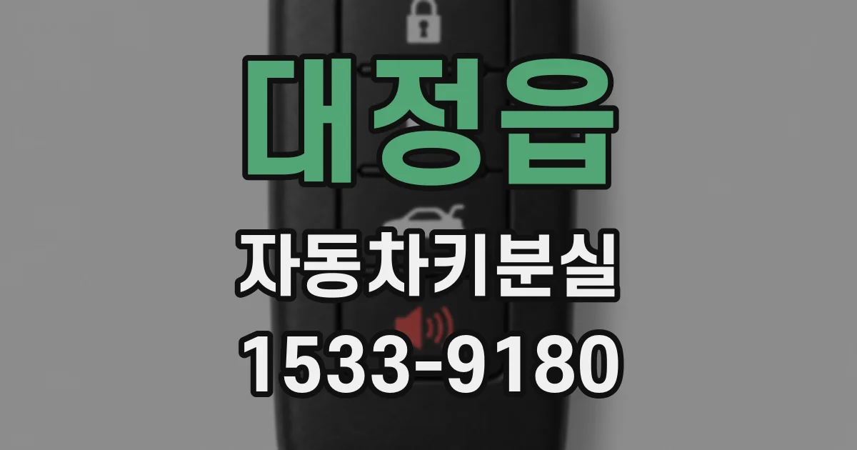 대정읍 자동차키분실