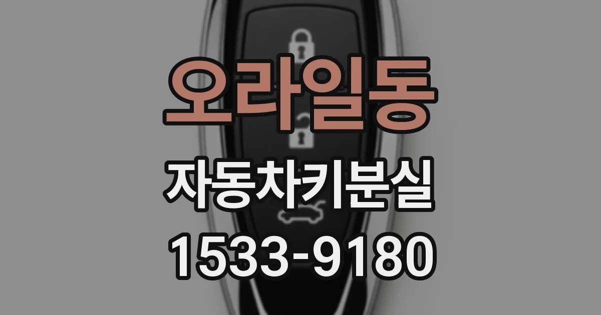 오라일동 자동차키분실