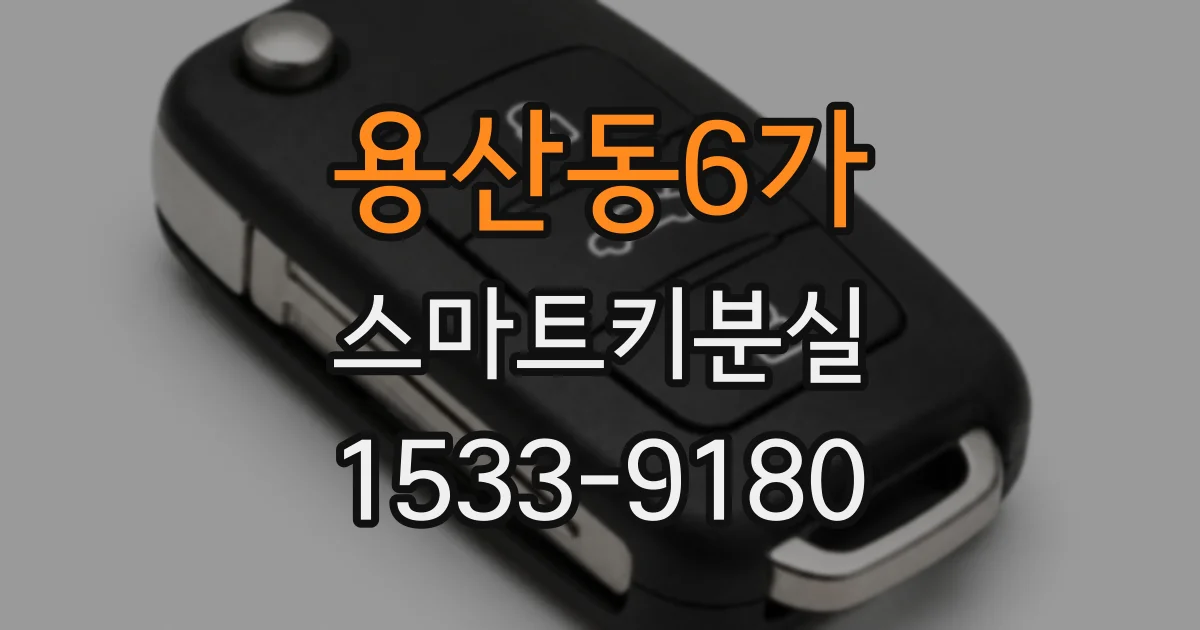 용산동6가 스마트키분실