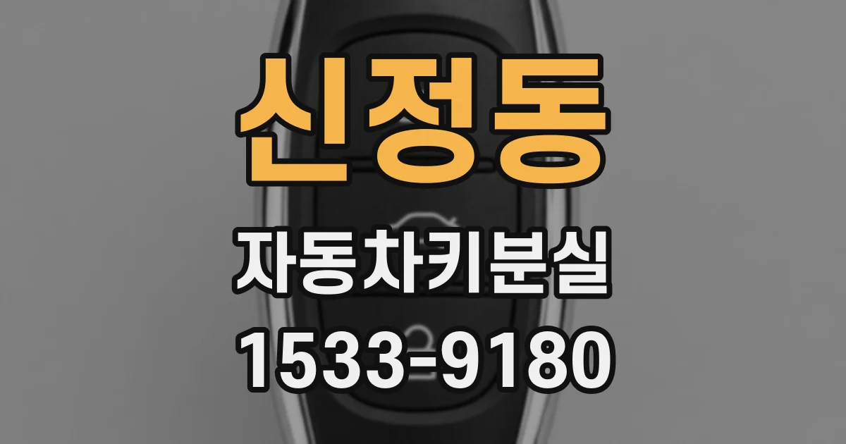 신정동 자동차키분실