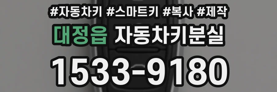 대정읍 자동차키분실
